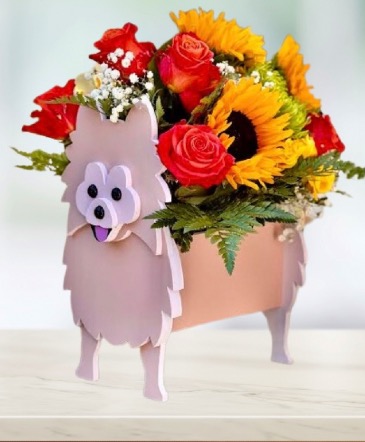Puppy Petals Posy EXCLUSIVE PRODUCT in Fairfield, CA | J Francis Floral Design