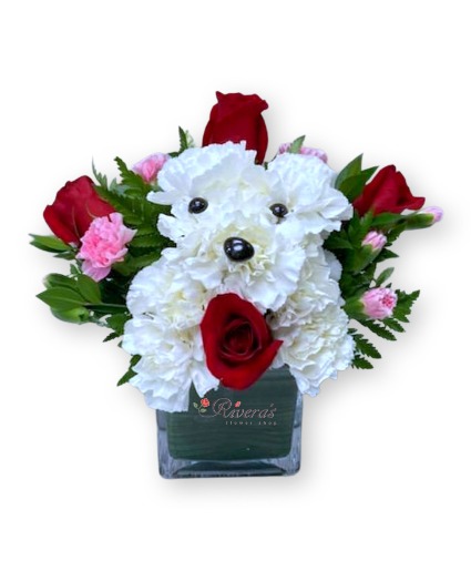 Puppy with love