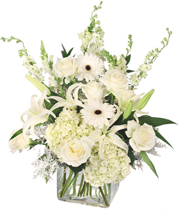 Pure Elegance Vase Arrangement in Ocala, FL | Blue Creek Florist