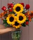 PURE HAPPINESS Arrangement