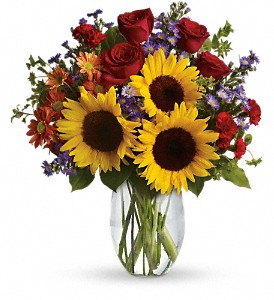Pure Happiness Arrangement in Coral Springs, FL | DARBY'S FLORIST Pure Happiness Arrangement in Coral Springs, FL | DARBY'S FLORIST