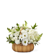 Pure Ivory Basket 