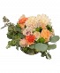 Southern Sweet Peach  
