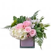 Pure Love Arrangement