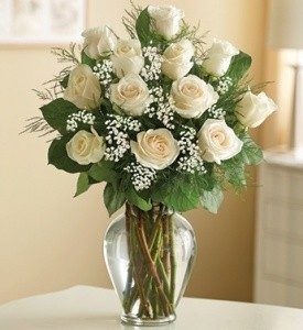 Pure Love Dozen White Roses Vased
