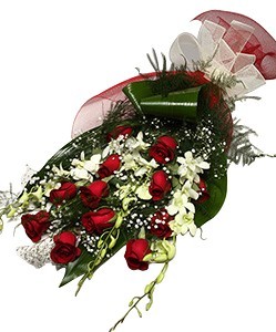 Pure Love of Roses