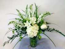 Pure Magnificence Arrangement