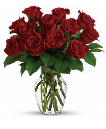 Pure Passion Red Roses with Special Greens in New Castle, DE | THE FLOWER PLACE Pure Passion Red Roses with Special Greens in New Castle, DE | THE FLOWER PLACE