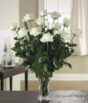 Pure Touch White Roses Arranged in Vase