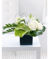 Pure Tropical Keepsake