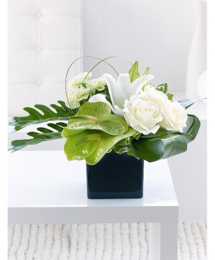 Pure Tropical Keepsake