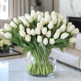 Pure White 50 