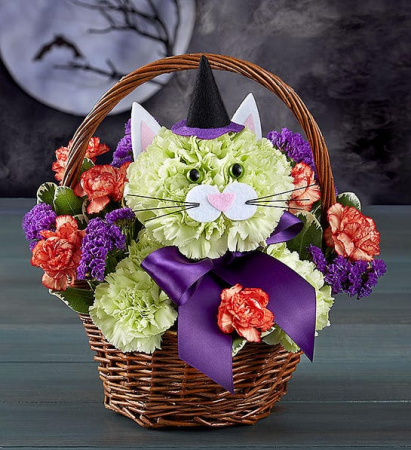 Purfect Potions Halloween Cat