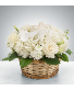 Purchase this funeral home arrangement