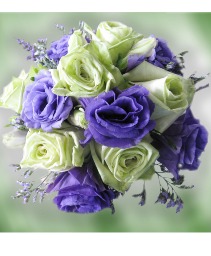 Purple and Green Wedding Party