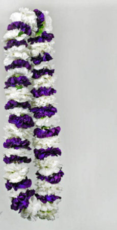 PURPLE AND WHITE CARNATION LEI 