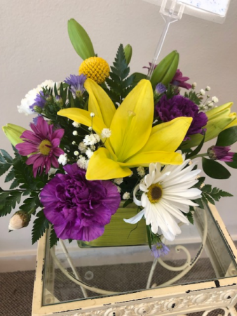 Purple and Yellow Jubilee!