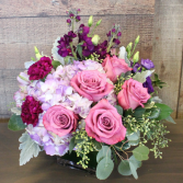 Purple Blooms