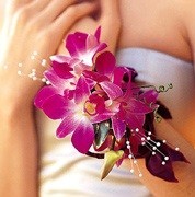 Purple dendrobium corsage Wristle corsage