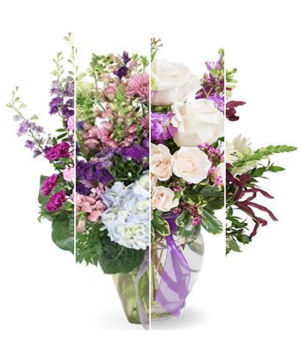 Purple Designer’s Choice 