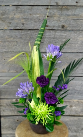 Purple Desire Container