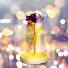 Purple Eternal Rose Globe Gift