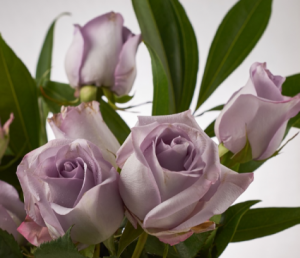 Purple Flower Assortment Wedding & Event in Beaumont, AB | Beau Villa Flowers And Gifts Purple Flower Assortment Wedding & Event in Beaumont, AB | Beau Villa Flowers And Gifts