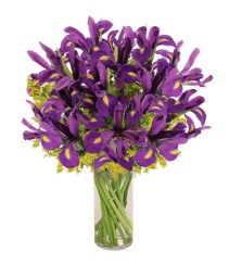 Purple Heart Iris Vase