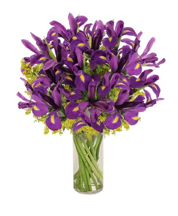 Purple Heart Iris Vase in Montreal, QC | FLEURISTE DE LUNE