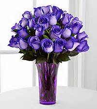 Purple Intrigue Roses 1 dozen Intrigue roses 
