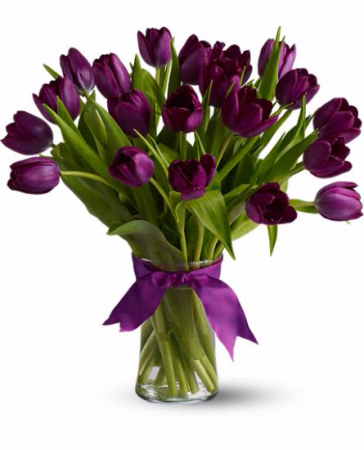 Purple Majesty Tulips vase spring.