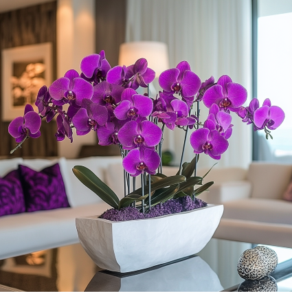 Purple Orchid Arrangement