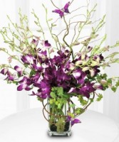 Purple Orchid Bouquet by Enchanted Florist