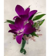 Purple Orchid Bout 