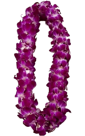 Purple Orchid Lei 