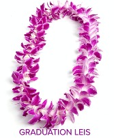 double purple orchid lei lei