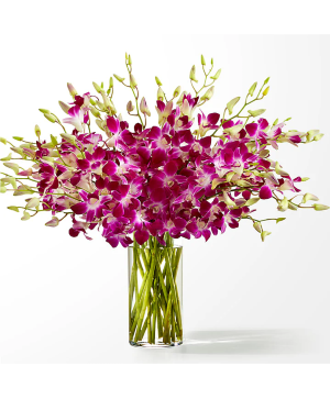 Purple Orchids in a Vase Luxury