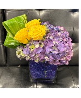 Purple paradise 