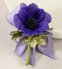 PURPLE PASSION BOUT WEDDING