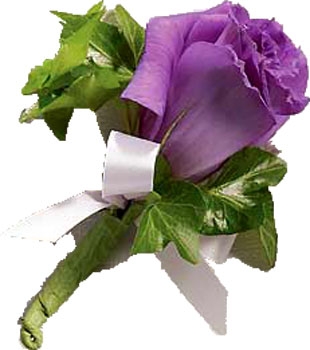 PURPLE PASSION BOUTONNIERE