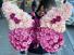 Purple Passion Butterfly  