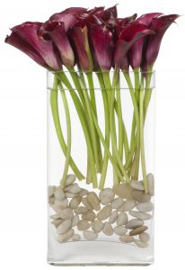 Pink Passion Calla lily vase arrangement