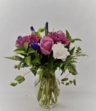 Purple Paradiso Every Day