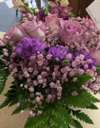 Purple Passion Just Because