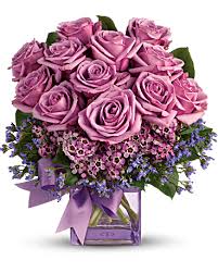 Purple Passion Roses