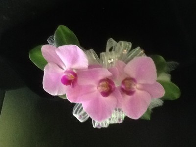 Purple Phalaenopsis Orchid Wrist Corsage $60      Boutonniere $10