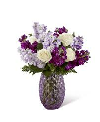 Purple Poinciana