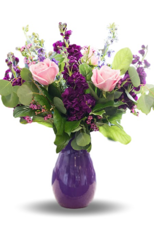 Purple Pop