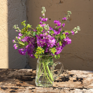 "Purple Rain" in Auburn, AL | AUBURN FLOWERS & GIFTS "Purple Rain" in Auburn, AL | AUBURN FLOWERS & GIFTS