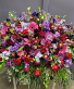 Purchase this funeral home arrangement